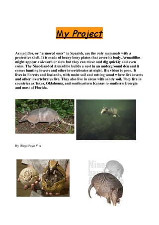 My Project

Armadillos, or "armored ones" in Spanish, are the only mammals with a
protective shell. It is made of heavy bony plates that cover its body. Armadillos
might appear awkward or slow but they can move and dig quickly and even
swim. The Nine-banded Armadillo builds a nest in an underground den and it
comes hunting insects and other invertebrates at night. His vision is poor. It
lives in Forests and lowlands, with moist soil and rotting wood where live insects
and other invertebrates live. They also live in areas with sandy soil. They live in
countries as Texas, Oklahoma, and southeastern Kansas to southern Georgia
and most of Florida.




By Diego Payo 5º A
 