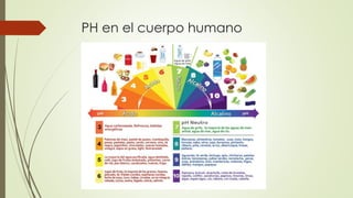 PH en el cuerpo humano
 