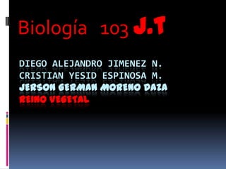 Biología 103 j.t
DIEGO ALEJANDRO JIMENEZ N.
CRISTIAN YESID ESPINOSA M.
JERSON GERMAN MORENO DAZA
REINO VEGETAL
 