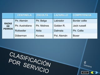 CENTINELA ESCOLTA LAZARILLO COMPETENCIA
RAZAS
DE
PERROS
Ptr. Alemán Ptr. Belga Labrador Border collie
Ptr. Australiano Ptr. Molinos Golden R. Jack russell
Rottweiler Akita Dalmata Ptr. Collie
Dóberman Kuvasz Pst. Alemán Boxer
INDICE
 
