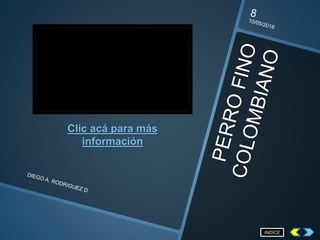 Clic acá para más
información
INDICE
 