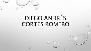 DIEGO ANDRÉS
CORTES ROMERO
 