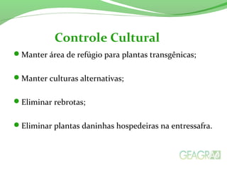Manter área de refúgio para plantas transgênicas;
Manter culturas alternativas;
Eliminar rebrotas;
Eliminar plantas daninhas hospedeiras na entressafra.
Controle Cultural
 