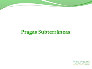 Pragas Subterrâneas
 