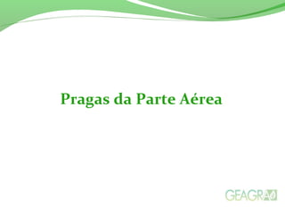 Pragas da Parte Aérea
 