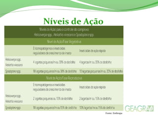 Níveis de Ação
Fonte: Embrapa
 