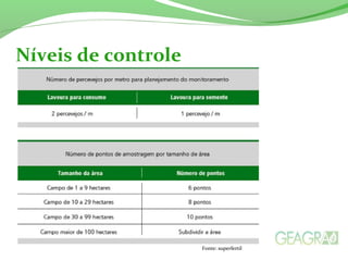 Níveis de controle
Fonte: superfertil
 