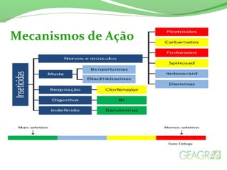 Mecanismos de Ação
Fonte: Embrapa
 