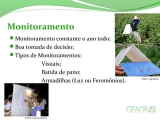 Monitoramento constante o ano todo;
Boa tomada de decisão;
Tipos de Monitoramentos:
Visuais;
Batida de pano;
Armadilhas (Luz ou Feromônios).
Monitoramento
Fonte: Canal ciência
Fonte: Agrolink
 