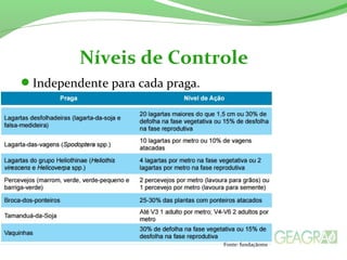 Independente para cada praga.
Níveis de Controle
Fonte: fundaçãoms
 