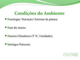 Fenologia/ Nutrição/ Estresse da planta;
Fase do inseto;
Fatores Climáticos (T ºC, Umidade);
Inimigos Naturais.
Condições do Ambiente
 