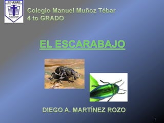 Colegio Manuel Muñoz Tébar 4 to GRADO EL ESCARABAJO DIEGO A. MARTÍNEZ ROZO 1 