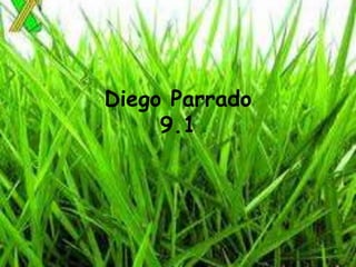 Diego Parrado
9.1
 