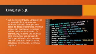 Sql Programación Lenguajes de Programación mas utilizados | PPTX