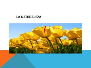 LA NATURALEZA
 