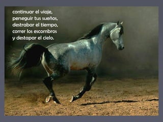 continuar el viaje,
perseguir tus sueños,
destrabar el tiempo,
correr los escombros
y destapar el cielo.