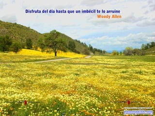 Disfruta del día hasta que un imbécil te lo arruine.
Woody Allen
 