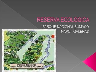 RESERVA ECOLOGICA PARQUE NACIONAL SUMACO     NAPO - GALERAS 