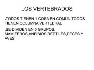LOS VERTEBRADOS
●TODOS TIENEN 1 COSA EN COMÚN TODOS
TIENEN COLUMNA VERTEBRAL
●SE DIVIDEN EN 5 GRUPOS:
MAMIFEROS,ANFIBIOS,REPTILES,PECES Y
AVES
 