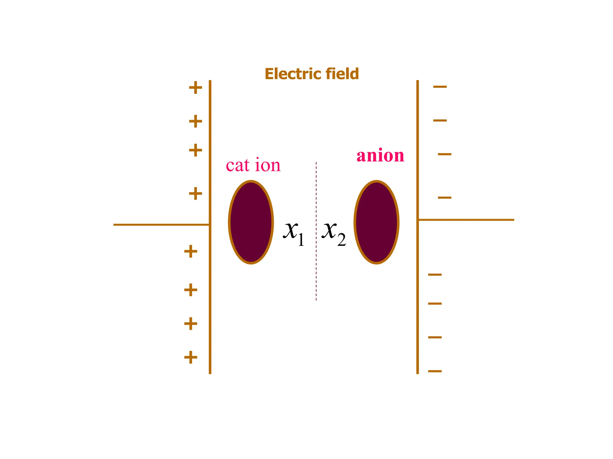 Electric field
+
+
+
+
+
+
+
+
_
_
_
_
_
_
_
_
1
x 2
x
anion
cat ion
 
