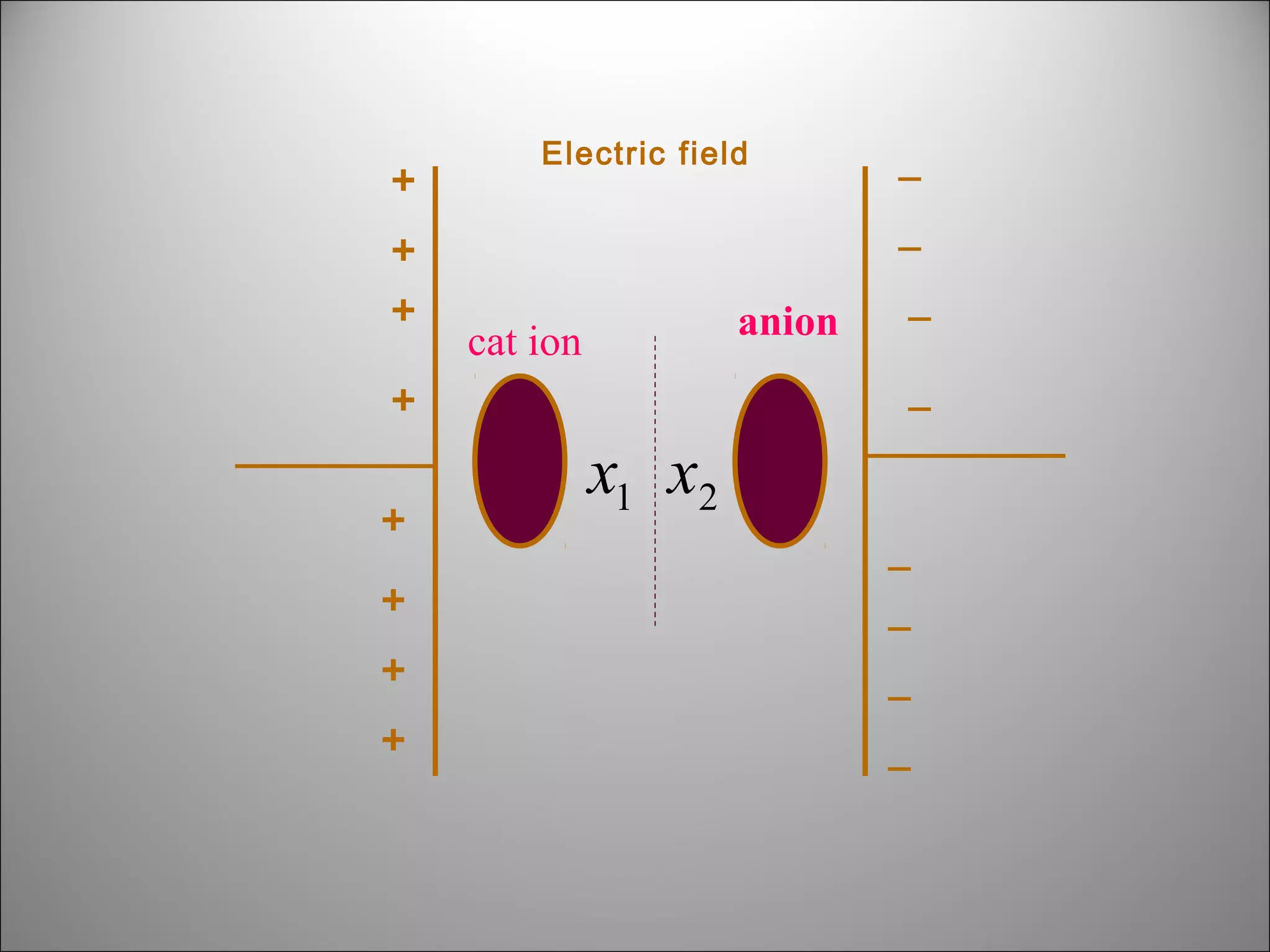 +
+
+

Electric field

_
anion

cat ion

_
_

+
+

_

x1 x2

+

_
_

+

_

+

_

 