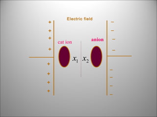 +
+
+

Electric field

_
anion

cat ion

_
_

+
+

_

x1 x2

+

_
_

+

_

+

_

 