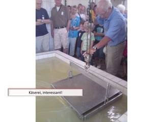 Käserei, interessant!