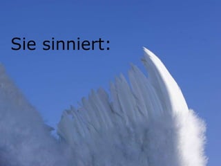 Sie sinniert:
 