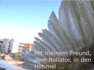 Mit meinem Freund,
dem Rollator, in den
Himmel ...
 