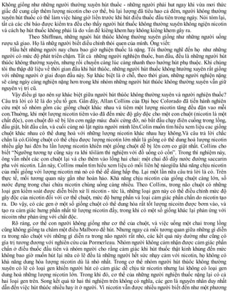 Không giống như những người thường xuyên hút thuốc - những người phải hut ngay khi vừa mơi thức
giấc để cung cấp thêm lượng nicotin cho cơ thể, bù lại lượng đã tiêu hao cả đêm, người không thường
xuyên hút thuốc có thể làm việc hàng giờ liền trước khi hút điếu thuốc đầu tiên trong ngày. Nói tóm lại,
tất cả các chỉ báo được kiểm tra đều cho thấy người hút thuốc không thường xuyên không ngiện nicotin
và cách họ hút thuốc không phải là do vấn đề kiêng khem hay không kiêng khem gây ra.
Theo Shiffman, những nguời hút thúôc không thường xuyên giống như những người uống
rượu xã giao. Họ là nhữg người biết diều chỉnh thói quen của mình. Ông viết:
Hầu hết những người nay chưa bao giờ nghiện thuốc lá nặng. Tôi thường nghĩ đến họ như những
người có mức độ phát triển chậm. Tất cả những người nghhiện thuốc, ban đầu, đều là những người hút
thúôc không thường xuyên, nhưng rồi chuyển càng lúc càng nhanh theo hướng hút phụ thuộc. Khi chúng
tôi thu thập dữ liệu về thời gian đầu khi hút thúôc, những người hút thuốc không htường xuyên rất giống
với những người ở giai đoạn đầu này. Sự khác biệt là ở chỗ, theo thời gian, những người nghiện nặng
sẽ càng ngày càng nghiện nặng hơn trong khi nhóm những người hút thúôc không thường xuyên vẫn giữ
nguyên vị trí cũ.
Vậy điều gì tạo nên sự khác biệt giữa người hút thúôc không thường xuyên và người nghiện thuốc?
Câu trả lời có lẽ là do yếu tố gen. Gần đây, Allan Collins của Đại học Colorado đã tiến hành nghiên
cứu một số nhóm gồm các giống chuột khác nhau và tiêm một lượng nicotin tăng đều đặn vao mỗi
con.Thuờng, khi một lượng nicotin tiêm vào đã đến mức độ gây độc cho một con chuột (nicotin là một
chất độc), con chuột đó sẽ bị lên cơn ngập máu: đuôi cứng đờ, nó bắt đầu chạy điên cuồng trong lồng,
đầu giật, bắt đầu cắn, và cuối cùng nó lật ngửa người mình lên.Colin muốn tìm hiểu xem liệu cac giống
chuột khác nhau có thể dung hoà với những lượng nicotin khác nhau hay không.Và câu trả lời chắc
chắn là có.Gíông chuột có thể chịu được lượng nicotin lớn nhất là giống có thể dung hoà lượng nicotin
nhiều gấp hai đến ba lần lượng nicotin khiến một giống chuột dễ bị lên cơn co giật nhất. Collins cho
biết “Ngưỡng tương tự cũng xảy ra khi tôilàm thí nghiệm với đồ uống có cồn”. Trong thí nghiệm này,
ông vẫn nhốt các con chuột lại và cho thêm vào lồng hai chai: một chai đổ đầy nước đường saccarin
pha với nicotin. Lần này, Collins muốn tìm hiểu xem liệu có mối liên hệ nàogiữa khả năng chịu nicotin
của mỗi giống với lượng nicotin mà nó có thể dễ dàng hấp thụ. Lại một lần nữa câu trả lời là có. Trên
thực tế, mối tương quan này gần như hoàn hảo. Khả năng chịu nicotin của giống chuột càng lớn, số
nước đựng trong chai chứa nicotin chúng uống càng nhiều. Theo Collins, trong não chuột có những
loại gen kiểm soát được diễn biến xử lí nicotin - tức là, những loại gen này có thể điều chỉnh mức độ
gây độc của nicotin đối với cơ thể chuột, mức độ hưng phấn và loại cảm giác phấn chấn do nicotin tạo
ra. Do vậy, có các gen ở một số giống chuột có thể dung hòa rất tốt lượng nicoitn được bơm vào, và
tạo ra cảm giác hưng phấn nhất từ lượng nicotin đấy, trong khi có một số giống khác lại phản ứng với
nicoitn như phản ứng với chất độc.
Rõ ràng, cơ thể con người không giống như cơ thể của chuột, và việc uống một chai trong lồng
cũng không giống ta châm một điếu Malboro để hút. Nhưng ngay cả mối tương quan giữa những gì diễn
ra trong não chuột với những gì diễn ra trong não người rất nhỏ, các kết quả này dường như cũng có
gía trị tương đương với nghiên cứu của Pormerleau. Nhóm người không cảm nhận được cảm giác phấn
chấn ở điếu thuốc đầu tiên và nhóm người cho rằng cảm giác khi hút thuốc thật kinh khủng đến mức
không bao giờ muốn hút lại nữa có lẽ đều là những người hết sức nhạy cảm với nicotin, họ không có
khả năng dung hòa lượng nicotin dù là nhỏ nhất. Trong cơ thể nhóm người hút thúôc không thường
xuyên có lẽ có loại gen khiến người hút có cảm giác dễ chịu từ nicotin nhưng lai không có loại gen
dung hoà những lượng nicotin lớn. Trong khi đó, cơ thể của những người nghiện thuốc nặng lại có cả
hai loại gen trên. Song kết quả từ hai thí nghiệm trên không có nghĩa, các gen là nguyên nhân duy nhất
dẫn đến việc hút thúôc nhiều hay ít ở người. Vì nicotin vẫn được nhiều người biết đến như một phương
 