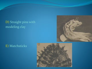 D) Straight pins with
modeling clay
E) Matchsticks
 
