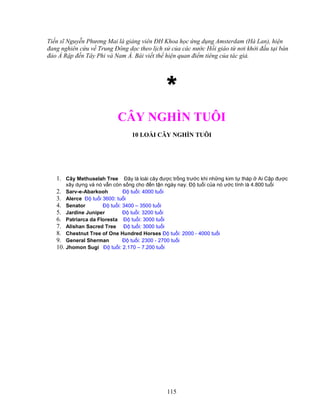 115
Ti n sĩ Nguy n Phương Mai là gi ng viên ðH Khoa h c ng d ng Amsterdam (Hà Lan), hi n
ñang nghiên c u v Trung ðông d c theo l ch s c a các nư c H i giáo t nơi kh i ñ u t i bán
ñ o R p ñ n Tây Phi và Nam Á. Bài vi t th hi n quan ñi m tiêng c a tác gi .
****
CÂY NGHÌN TUÔI
10 LOÀI CÂY NGHÌN TUÔI
1. Cây Methuselah Tree ðây là loài cây ñư c tr ng trư c khi nh ng kim t tháp Ai C p ñư c
xây d ng và nó v n còn s ng cho ñ n t n ngày nay. ð tu i c a nó ư c tính là 4.800 tu i
2. Sarv-e-Abarkooh ð tu i: 4000 tu i
3. Alerce ð tu i 3600: tu i
4. Senator ð tu i: 3400 – 3500 tu i
5. Jardine Juniper ð tu i: 3200 tu i
6. Patriarca da Floresta ð tu i: 3000 tu i
7. Alishan Sacred Tree ð tu i: 3000 tu i
8. Chestnut Tree of One Hundred Horses ð tu i: 2000 - 4000 tu i
9. General Sherman ð tu i: 2300 - 2700 tu i
10. Jhomon Sugi ð tu i: 2.170 – 7.200 tu i
 