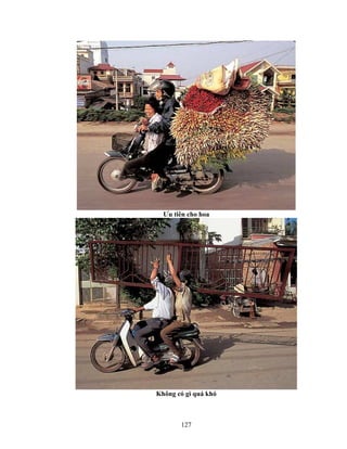 127
Ưu tiên cho hoa
Không có gì quá khó
 