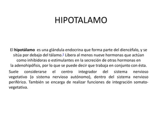 HIPOTALAMOEl hipotálamo es una glándula endocrina que forma parte del diencéfalo, y se sitúa por debajo del tálamo.1 Libera al menos nueve hormonas que actúan como inhibidoras o estimulantes en la secreción de otras hormonas en la adenohipófisis, por lo que se puede decir que trabaja en conjunto con ésta.Suele considerarse el centro integrador del sistema nervioso vegetativo (o sistema nervioso autónomo), dentro del sistema nervioso periférico. También se encarga de realizar funciones de integración somato-vegetativa.