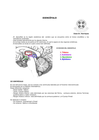 DIENCÉFALO
Clase Dr. Henríquez
El diencéfalo es la región anatómica del cerebro que se encuentra entre el tronco encefálico y los
hemisferios cerebrales.
Está limitado lateralmente por la cápsula interna.
En la línea media se encuentra el III ventrículo, el cual lo separa en dos regiones simétricas.
El diencéfalo se divide en cuatro zonas bien definidas.
III VENTRÍCULO
Es una estructura impar, que se conecta a los ventrículos laterales por el Foramen interventricular.
Es atravesado por el Adhesio Intertalámico.
Posee diferentes márgenes:
Pared medial: Tálamo
Techo: Cuerpo Calloso
Margen Antero-inferior: esta delimitado por las columnas del Fórnix, comisura anterior, lámina Terminal,
quiasma óptico y túber cinereum.
Margen Postero–inferior: está delimitado por la comisura posterior y el Cuerpo Pineal.
Se observan 4 recesos:
Por Posterior: Suprapineal y Pineal
Por Anterior: Óptico e Infundibular
 