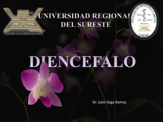 UNIVERSIDAD REGIONAL
DEL SURESTE
Dr. Julio Vega Ramos
 