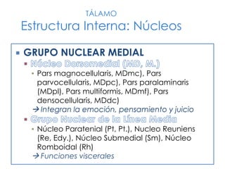 GRUPO NUCLEAR MEDIAL
▪ Pars magnocellularis, MDmc), Pars
parvocellularis, MDpc), Pars paralaminaris
(MDpl), Pars multiformis, MDmf), Pars
densocellularis, MDdc)
 Integran la emoción, pensamiento y juicio
▪ Núcleo Paratenial (Pt, Pt.), Nucleo Reuniens
(Re, Edy.), Núcleo Submedial (Sm), Núcleo
Romboidal (Rh)
 Funciones viscerales
TÁLAMO
Estructura Interna: Núcleos
 