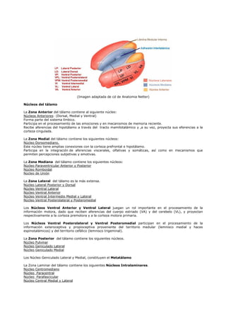 (Imagen adaptada de cd de Anatomia Netter) 
Núcleos del tálamo 
La Zona Anterior del tálamo contiene al siguiente núcleo: 
Núcleos Anteriores: (Dorsal, Medial y Ventral) 
Forma parte del sistema límbico. 
Participa en el procesamiento de las emociones y en mecanismos de memoria reciente. 
Recibe aferencias del hipotálamo a través del tracto mamilotalámico y ,a su vez, proyecta sus eferencias a la 
corteza cingulada. 
La Zona Medial del tálamo contiene los siguientes núcleos: 
Núcleo Dorsomediano. 
Este núcleo tiene amplias conexiones con la corteza prefrontal e hipotálamo. 
Participa en la integración de aferencias viscerales, olfativas y somáticas, así como en mecanismos que 
permiten percepciones subjetivas y emotivas. 
La Zona Mediana del tálamo contiene los siguientes núcleos: 
Núcleo Paraventricular Anterior y Posterior 
Núcleo Romboidal 
Núcleo de Unión 
La Zona Lateral del tálamo es la más extensa. 
Núcleo Lateral Posterior y Dorsal 
Núcleo Ventral Lateral 
Núcleo Ventral Anterior 
Núcleo Ventral Intermedio Medial y Lateral 
Núcleo Ventral Posterolateral y Posteromedial 
Los Núcleos Ventral Anterior y Ventral Lateral juegan un rol importante en el procesamiento de la 
información motora, dado que reciben aferencias del cuerpo estriado (VA) y del cerebelo (VL), y proyectan 
respectivamente a la corteza premotora y a la corteza motora primaria. 
Los Núcleos Ventral Posterolateral y Ventral Posteromedial participan en el procesamiento de la 
información exteroceptiva y propioceptiva proveniente del territorio medular (lemnisco medial y haces 
espinotalámicos) y del territorio cefálico (lemnisco trigeminal). 
La Zona Posterior del tálamo contiene los siguientes núcleos. 
Núcleo Pulvinar 
Núcleo Geniculado Lateral 
Núcleo Geniculado Medial 
Los Núcleo Geniculado Lateral y Medial, constituyen el Metatálamo 
La Zona Laminar del tálamo contiene los siguientes Núcleos Intralaminares. 
Núcleo Centromediano 
Núcleo Paracentral 
Núcleo Parafascicular 
Núcleo Central Medial y Lateral 
 