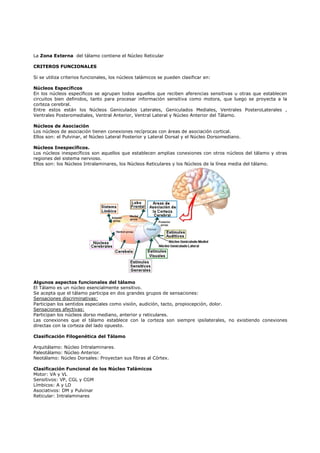 La Zona Externa del tálamo contiene el Núcleo Reticular 
CRITEROS FUNCIONALES 
Si se utiliza criterios funcionales, los núcleos talámicos se pueden clasificar en: 
Núcleos Específicos 
En los núcleos específicos se agrupan todos aquellos que reciben aferencias sensitivas u otras que establecen 
circuitos bien definidos, tanto para procesar información sensitiva como motora, que luego se proyecta a la 
corteza cerebral. 
Entre estos están los Núcleos Geniculados Laterales, Geniculados Mediales, Ventrales PosteroLaterales , 
Ventrales Posteromediales, Ventral Anterior, Ventral Lateral y Núcleo Anterior del Tálamo. 
Núcleos de Asociación 
Los núcleos de asociación tienen conexiones recíprocas con áreas de asociación cortical. 
Ellos son: el Pulvinar, el Núcleo Lateral Posterior y Lateral Dorsal y el Núcleo Dorsomediano. 
Núcleos Inespecíficos. 
Los núcleos inespecíficos son aquellos que establecen amplias conexiones con otros núcleos del tálamo y otras 
regiones del sistema nervioso. 
Ellos son: los Núcleos Intralaminares, los Núcleos Reticulares y los Núcleos de la línea media del tálamo. 
Algunos aspectos funcionales del tálamo 
El Tálamo es un núcleo esencialmente sensitivo. 
Se acepta que el tálamo participa en dos grandes grupos de sensaciones: 
Sensaciones discriminativas: 
Participan los sentidos especiales como visión, audición, tacto, propiocepción, dolor. 
Sensaciones afectivas: 
Participan los núcleos dorso mediano, anterior y reticulares. 
Las conexiones que el tálamo establece con la corteza son siempre ipsilaterales, no existiendo conexiones 
directas con la corteza del lado opuesto. 
Clasificación Filogenética del Tálamo 
Arquitálamo: Núcleo Intralaminares. 
Paleotálamo: Núcleo Anterior. 
Neotálamo: Núcleo Dorsales: Proyectan sus fibras al Córtex. 
Clasificación Funcional de los Núcleo Talámicos 
Motor: VA y VL 
Sensitivos: VP, CGL y CGM 
Límbicos: A y LD 
Asociativos: DM y Pulvinar 
Reticular: Intralaminares 
 