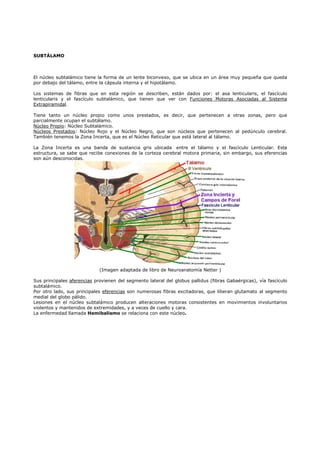 SUBTÁLAMO 
El núcleo subtalámico tiene la forma de un lente biconvexo, que se ubica en un área muy pequeña que queda 
por debajo del tálamo, entre la cápsula interna y el hipotálamo. 
Los sistemas de fibras que en esta región se describen, están dados por: el asa lenticularis, el fascículo 
lenticularis y el fascículo subtalámico, que tienen que ver con Funciones Motoras Asociadas al Sistema 
Extrapiramidal. 
Tiene tanto un núcleo propio como unos prestados, es decir, que pertenecen a otras zonas, pero que 
parcialmente ocupan el subtálamo. 
Núcleo Propio: Núcleo Subtalámico. 
Núcleos Prestados: Núcleo Rojo y el Núcleo Negro, que son núcleos que pertenecen al pedúnculo cerebral. 
También tenemos la Zona Incerta, que es el Núcleo Reticular que está lateral al tálamo. 
La Zona Incerta es una banda de sustancia gris ubicada entre el tálamo y el fascículo Lenticular. Esta 
estructura, se sabe que recibe conexiones de la corteza cerebral motora primaria, sin embargo, sus eferencias 
son aún desconocidas. 
(Imagen adaptada de libro de Neuroanatomía Netter ) 
Sus principales aferencias provienen del segmento lateral del globus pallidus (fibras Gabaérgicas), vía fascículo 
subtalámico. 
Por otro lado, sus principales eferencias son numerosas fibras excitadoras, que liberan glutamato al segmento 
medial del globo pálido. 
Lesiones en el núcleo subtalámico producen alteraciones motoras consistentes en movimientos involuntarios 
violentos y mantenidos de extremidades, y a veces de cuello y cara. 
La enfermedad llamada Hemibalismo se relaciona con este núcleo. 
 
