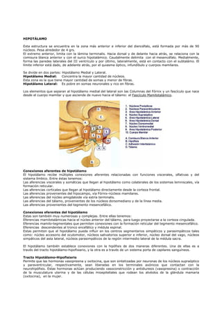 HIPOTÁLAMO 
Esta estructura se encuentra en la zona más anterior e inferior del diencéfalo, está formada por más de 90 
núcleos. Pesa alrededor de 4 grs. 
El extremo anterior, limita con la lámina terminalis. Hacia dorsal y de delante hacia atrás, se relaciona con la 
comisura blanca anterior y con el surco hipotalámico. Caudalmente delimita con el mesencéfalo. Medialmente, 
forma las paredes laterales del III ventrículo y por último, lateralmente, está en contacto con el subtalámo. El 
límite inferior está dado, de adelante atrás, por el quiasma óptico, infundíbulo y cuerpos mamilares. 
Se divide en dos partes: Hipotálamo Medial y Lateral. 
Hipotálamo Medial: Concentra la mayor cantidad de núcleos. 
Esta zona es la que tiene mayor cantidad de somas y menor de fibras. 
Hipotálamo Lateral: Es pobre en somas neuronales y rico en fibras. 
Los elementos que separan al hipotálamo medial del lateral son las Columnas del Fórnix y un fascículo que nace 
desde el cuerpo mamilar y que asciende de nuevo hacia el tálamo: el Fascículo Mamilotalámico. 
Conexiones aferentes de hipotálamo 
El hipotálamo recibe múltiples conexiones aferentes relacionadas con funciones viscerales, olfativas y del 
sistema límbico. Entre éstas tenemos: 
Las aferencias viscerales y somáticas que llegan al hipotálamo como colaterales de los sistemas lemniscales, vía 
formación reticular. 
Las aferencias corticales que llegan al hipotálamo directamente desde la corteza frontal. 
Las aferencias provenientes del hipocampo, vía Fórnix-núcleos mamilares. 
Las aferencias del núcleo amigdaloide vía estría terminalis. 
Las aferencias del tálamo, provenientes de los núcleos dorsomediano y de la línea media. 
Las aferencias provenientes del tegmento mesencefálico. 
Conexiones eferentes del hipotálamo 
Estas son también muy numerosas y complejas. Entre ellas tenemos: 
Eferencias mamilotalámicas hacia el núcleo anterior del tálamo, para luego proyectarse a la corteza cingulada. 
Eferencias mamilo-tegmentales que permiten conexiones con la formación reticular del tegmento mesencefálico. 
Eferencias descendentes al tronco encefálico y médula espinal. 
Estas permiten que el hipotálamo pueda influir en los centros segmentarios simpáticos y parasimpáticos tales 
como: núcleo accesorio del oculomotor, núcleos salivatorios superior e inferior, núcleo dorsal del vago, núcleos 
simpáticos del asta lateral, núcleos parasimpáticos de la región intermedio lateral de la médula sacra. 
El hipotálamo también establece conexiones con la hipófisis de dos maneras diferentes. Una de ellas es a 
través del tracto hipotálamo-hipofisiario, y la otra es a través de un sistema porta de capilares sanguíneos. 
Tracto Hipotálamo-Hipofisiario 
Permite que las hormonas vasopresina y oxitocina, que son sintetizadas por neuronas de los núcleos supraóptico 
y paraventricular, respectivamente, sean liberadas en los terminales axónicos que contactan con la 
neurohipófisis. Estas hormonas actúan produciendo vasoconstricción y antidiuresis (vasopresina) o contracción 
de la musculatura uterina y de las células mioepiteliales que rodean los alvéolos de la glándula mamaria 
(oxitocina), en la mujer. 
 