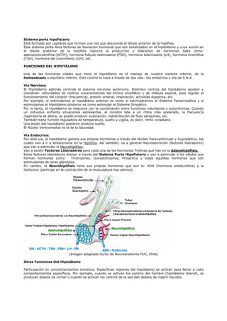 Sistema porta hipofisiario 
Está formado por capilares que forman una red que desciende al lóbulo anterior de la hipófisis. 
Este sistema porta lleva factores de liberación hormonal que son sintetizados en el hipotálamo y cuya acción en 
el lóbulo posterior de la hipófisis inducirá la producción y liberación de hormonas tales como: 
adenocorticotrofina (ACTH), hormona folículo estimulante (FSH), hormona luteinizante (LH), hormona tirotrófica 
(TSH), hormona del crecimiento (GH), etc. 
FUNCIONES DEL HIPOTÁLAMO 
Una de las funciones vitales que tiene el hipotálamo es el manejo de nuestro sistema interno, de la 
homeostasis o equilibrio interno. Este control lo hace a través de dos vías: Vía endocrina y Vía de S.N.A . 
Vía Nerviosa 
El Hipotálamo además controla el sistema nervioso autónomo. Distintos centros del hipotálamo ajustan y 
coordinan actividades de centros visceromotores del tronco encefálico y de médula espinal, para regular el 
funcionamiento del corazón (frecuencia), presión arterial, respiración, actividad digestiva, etc. 
Por ejemplo, si estimulamos al hipotálamo anterior es como si estimuláramos al Sistema Parasimpático y si 
estimulamos al hipotálamo posterior es como estimular al Sistema Simpático. 
Por lo tanto, el hipotálamo se relaciona con la coordinación entre funciones voluntarias y autonómicas. Cuando 
un individuo enfrenta situaciones estresantes, el corazón late a un ritmo más acelerado, la frecuencia 
respiratoria se altera, se puede producir sudoración, redistribución de flujo sanguíneo, etc. 
También tiene función reguladora de temperatura, sueño y vigilia, es decir, ritmo circadiano. 
Una lesión del hipotálamo posterior produce sueño. 
El Núcleo Ventromedial es el de la Saciedad. 
Vía Endocrina: 
Por esta vía, el hipotálamo genera sus propias hormonas a través del Núcleo Paraventricular y Supraóptico, las 
cuales van a ir a almacenarse en la Hipófisis. Así también, va a generar Neurosecreción (factores liberadores) 
que van a estimular la Neurohipófisis. 
Van a existir Factores Liberadores para cada una de las Hormonas Trofinas que hay en la Adenohipófisis. 
Estos factores liberadores drenan a través del Sistema Porta Hipofisiario y van a estimular a las células que 
forman hormonas como: Tirotropinas, Gonadotropinas, Prolactina y todas aquéllas hormonas que son 
estimulantes de otras glándulas. 
En cambio, la Neurohipófisis tiene sus propias hormonas que son la: ADH (hormona antidiurética) y la 
Oxitocina (participa en la contracción de la musculatura lisa uterina). 
(Imagen adaptada Curso de Neuroanatomía PUC, Chile) 
Otras Funciones Del Hipotálamo 
Participación en comportamientos emotivos. Específicas regiones del hipotálamo se activan para llevar a cabo 
comportamientos específicos. Por ejemplo, cuando se activan los centros del hambre (hipotálamo lateral), se 
producen deseos de comer o cuando se activan los centros de la sed dan deseos de ingerir líquidos. 
 