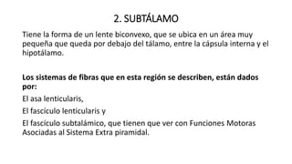 2. SUBTÁLAMO
Tiene la forma de un lente biconvexo, que se ubica en un área muy
pequeña que queda por debajo del tálamo, entre la cápsula interna y el
hipotálamo.
Los sistemas de fibras que en esta región se describen, están dados
por:
El asa lenticularis,
El fascículo lenticularis y
El fascículo subtalámico, que tienen que ver con Funciones Motoras
Asociadas al Sistema Extra piramidal.
 