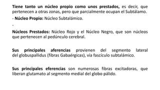Tiene tanto un núcleo propio como unos prestados, es decir, que
pertenecen a otras zonas, pero que parcialmente ocupan el Subtálamo.
- Núcleo Propio: Núcleo Subtalámico.
-
Núcleos Prestados: Núcleo Rojo y el Núcleo Negro, que son núcleos
que pertenecen al pedúnculo cerebral.
Sus principales aferencias provienen del segmento lateral
del globuspallidus (fibras Gabaérgicas), vía fascículo subtalámico.
Sus principales eferencias son numerosas fibras excitadoras, que
liberan glutamato al segmento medial del globo pálido.
 