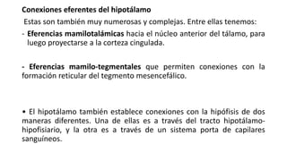 Conexiones eferentes del hipotálamo
Estas son también muy numerosas y complejas. Entre ellas tenemos:
- Eferencias mamilotalámicas hacia el núcleo anterior del tálamo, para
luego proyectarse a la corteza cingulada.
- Eferencias mamilo-tegmentales que permiten conexiones con la
formación reticular del tegmento mesencefálico.
• El hipotálamo también establece conexiones con la hipófisis de dos
maneras diferentes. Una de ellas es a través del tracto hipotálamo-
hipofisiario, y la otra es a través de un sistema porta de capilares
sanguíneos.
 
