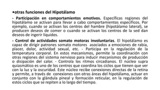 •otras funciones del Hipotálamo
- Participación en comportamientos emotivos. Específicas regiones del
hipotálamo se activan para llevar a cabo comportamientos específicos. Por
ejemplo, cuando se activan los centros del hambre (hipotálamo lateral), se
producen deseos de comer o cuando se activan los centros de la sed dan
deseos de ingerir líquidos.
- Control de actividades somato motoras involuntarias. El hipotálamo es
capaz de dirigir patrones somato motores asociados a emociones de rabia,
placer, dolor, actividad sexual, etc. - Participa en la regulación de la
temperatura corporal. En estos mecanismos, permite la coordinación con
otras regiones del sistema nervioso para inducir mecanismos de producción
o disipación del calor. - Controla los ritmos circadianos. El núcleo supra
quiasmático es uno de los centros que coordina los ciclos que tienen que ver
con la luz y la oscuridad. Este núcleo recibe conexiones directas de la retina
y permite, a través de conexiones con otras áreas del hipotálamo, actuar en
conjunto con la glándula pineal y formación reticular, en la regulación de
estos ciclos que se repiten a lo largo del tiempo.
 