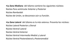 •La Zona Mediana del tálamo contiene los siguientes núcleos:
Núcleo Para ventricular Anterior y Posterior
Núcleo Romboidal
Núcleo de Unión, se desconoce aún su función.
•La Zona Lateral del tálamo es la más extensa. Presenta los núcleos:
Núcleo Lateral Posterior y Dorsal
Núcleo Ventral Lateral
Núcleo Ventral Anterior
Núcleo Ventral Intermedio Medial y Lateral
Núcleo Ventral Posterolateral y Posteromedial
 