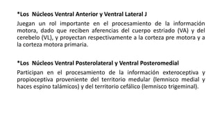 *Los Núcleos Ventral Anterior y Ventral Lateral J
Juegan un rol importante en el procesamiento de la información
motora, dado que reciben aferencias del cuerpo estriado (VA) y del
cerebelo (VL), y proyectan respectivamente a la corteza pre motora y a
la corteza motora primaria.
*Los Núcleos Ventral Posterolateral y Ventral Posteromedial
Participan en el procesamiento de la información exteroceptiva y
propioceptiva proveniente del territorio medular (lemnisco medial y
haces espino talámicos) y del territorio cefálico (lemnisco trigeminal).
 