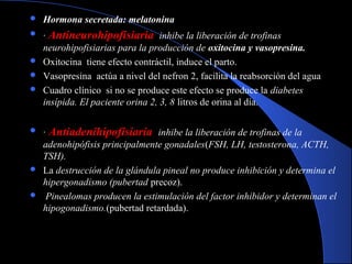  Hormona secretada: melatonina
 · Antineurohipofisiaria inhibe la liberación de trofinas
neurohipofisiarias para la producción de oxitocina y vasopresina.
 Oxitocina tiene efecto contráctil, induce el parto.
 Vasopresina actúa a nivel del nefron 2, facilita la reabsorción del agua
 Cuadro clínico si no se produce este efecto se produce la diabetes
insípida. El paciente orina 2, 3, 8 litros de orina al día.
 · Antiadenihipofisiaria inhibe la liberación de trofinas de la
adenohipófisis principalmente gonadales(FSH, LH, testosterona, ACTH,
TSH).
 La destrucción de la glándula pineal no produce inhibición y determina el
hipergonadismo (pubertad precoz).
 Pinealomas producen la estimulación del factor inhibidor y determinan el
hipogonadismo.(pubertad retardada).
 