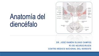 Anatomía del
diencéfalo
DR. JOSÉ RAMÓN OLIVAS CAMPOS
R3 DE NEUROCIRUGÍA
CENTRO MEDICO NACIONAL DEL NORESTE
 